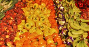 corretta alimentazione