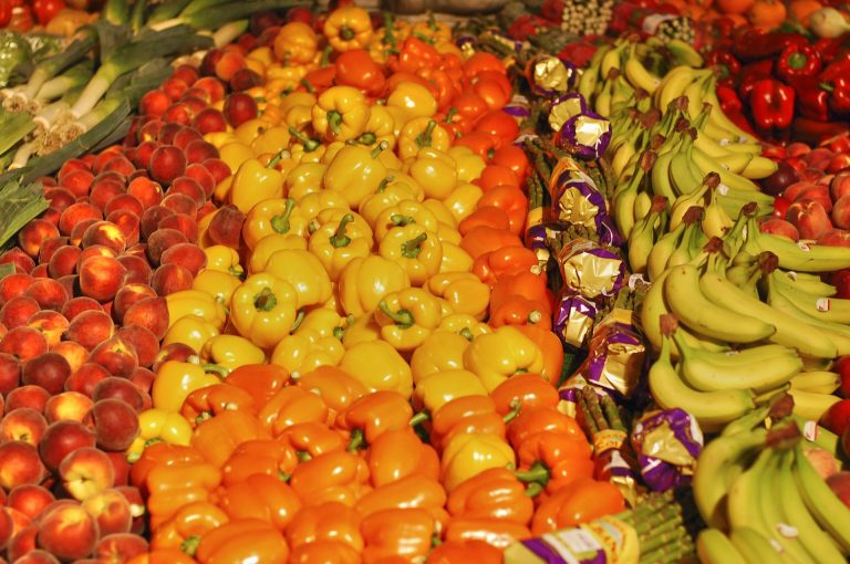 corretta alimentazione