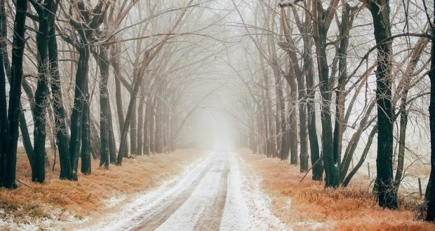 pneumatici invernali