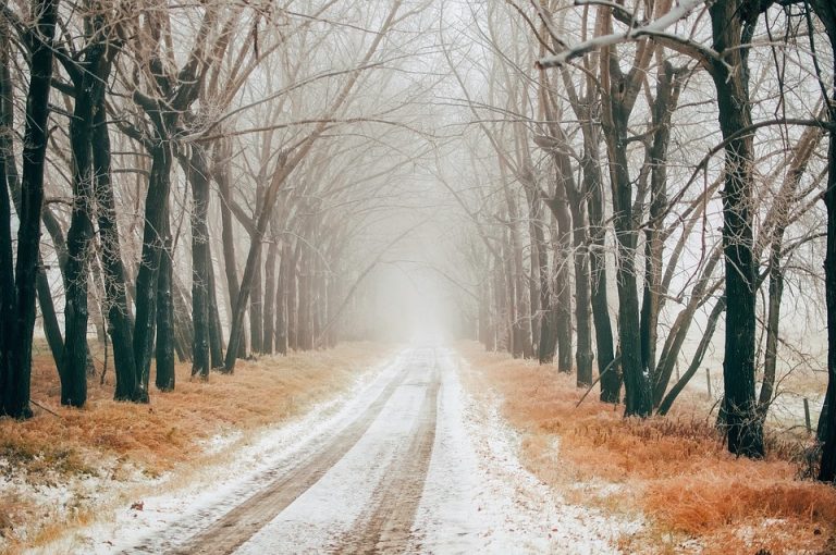 pneumatici invernali