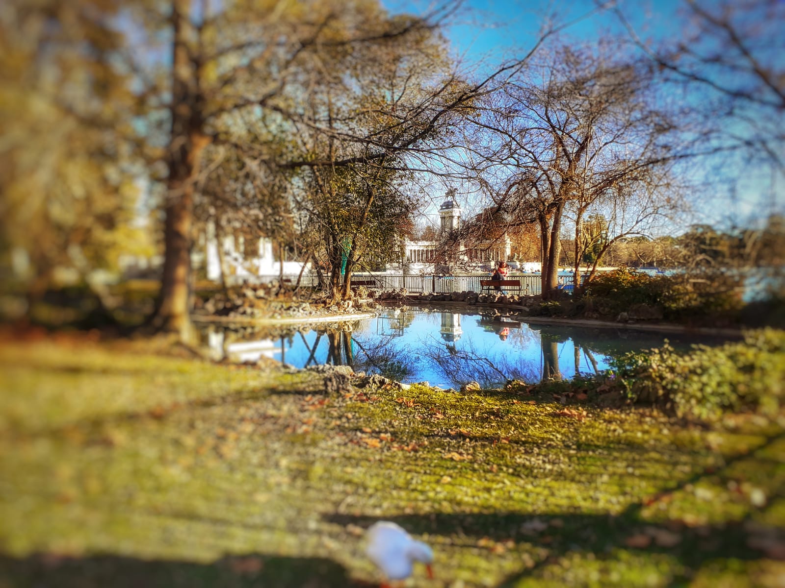 Parque del Retiro a Madrid