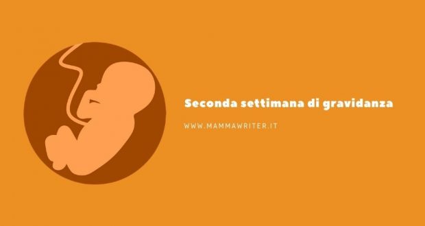 seconda settimana di gravidanza