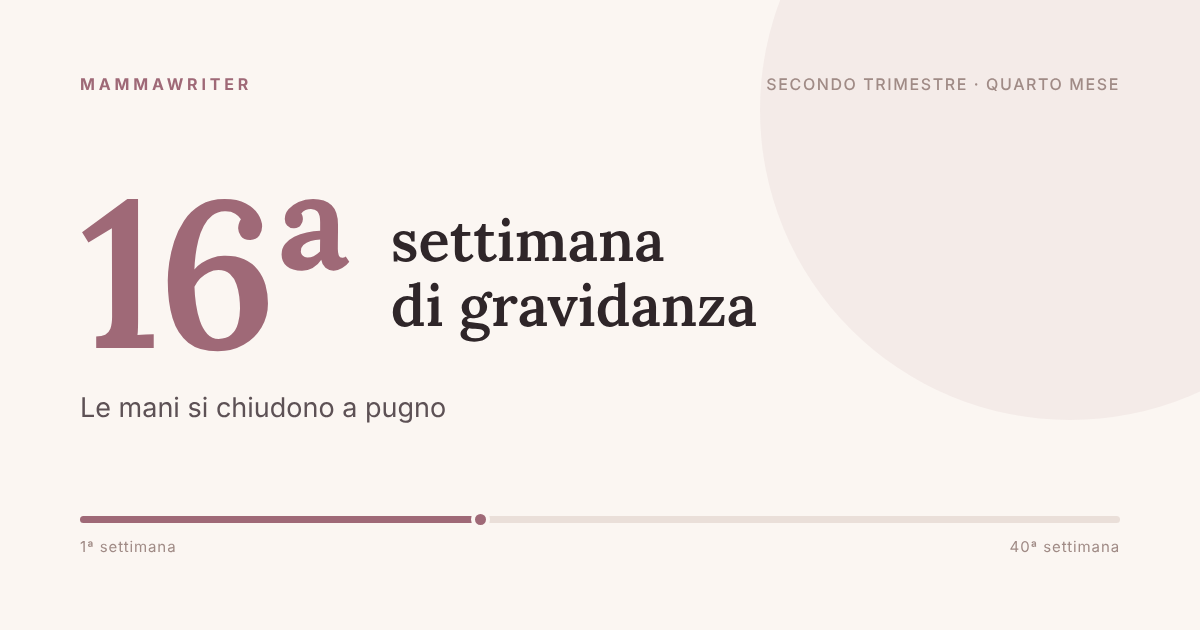 Sedicesima settimana di gravidanza, le mani si chiudono a pugno