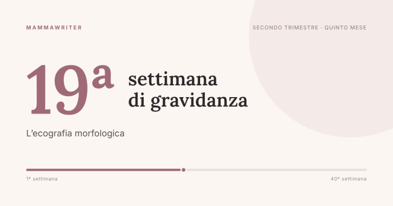 Diciannovesima settimana di gravidanza, l’ecografia morfologica