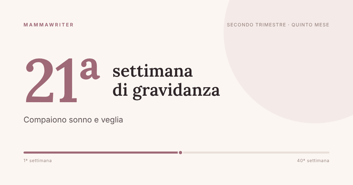 Ventunesima settimana di gravidanza, compaiono sonno e veglia