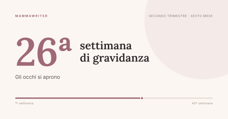 Ventiseiesima settimana di gravidanza, gli occhi si aprono