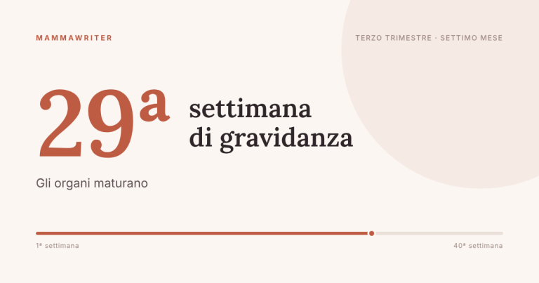 Ventinovesima settimana di gravidanza, gli organi maturano